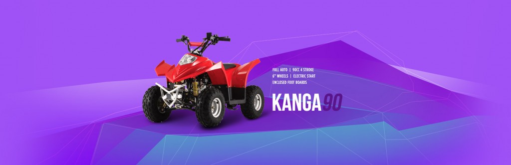 kanga90-artwork