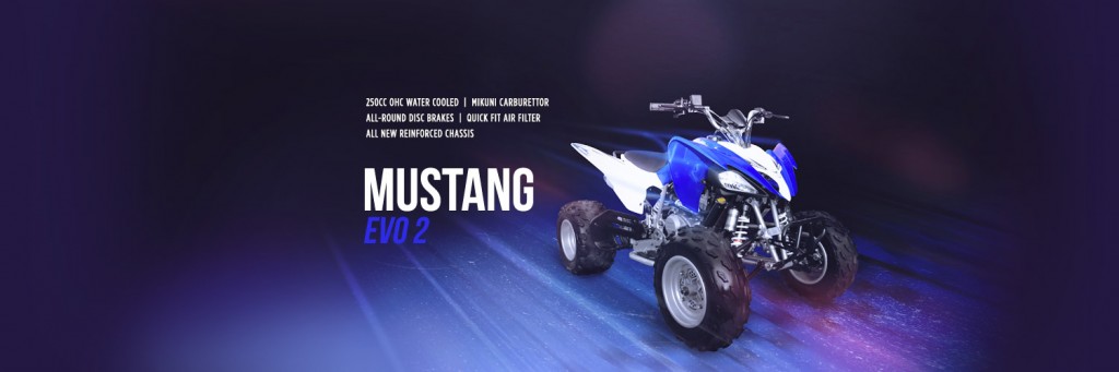 mustang2-artwork